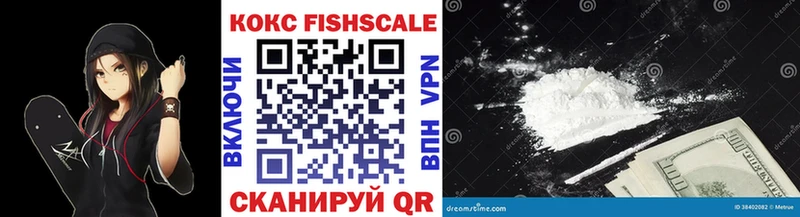 магазин  наркотиков  Кологрив  COCAIN Fish Scale 