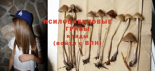 apvp Нягань