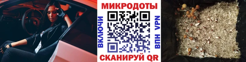 Галлюциногенные грибы Psilocybe  Кологрив 